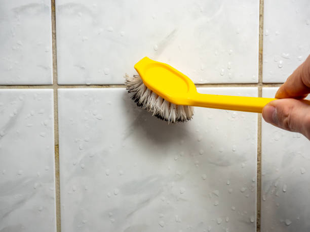 Best Attic Mold Removal  in Rosamond, CA