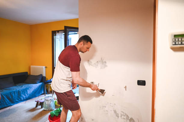 Best Commercial Mold Removal  in Rosamond, CA